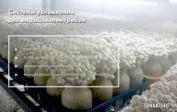 Система увлажнения для грибных хозяйств