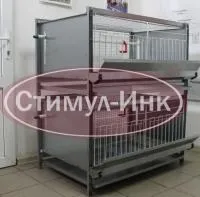 Клетка для бройлеров