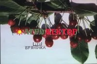Саженцы черешни Бряночка